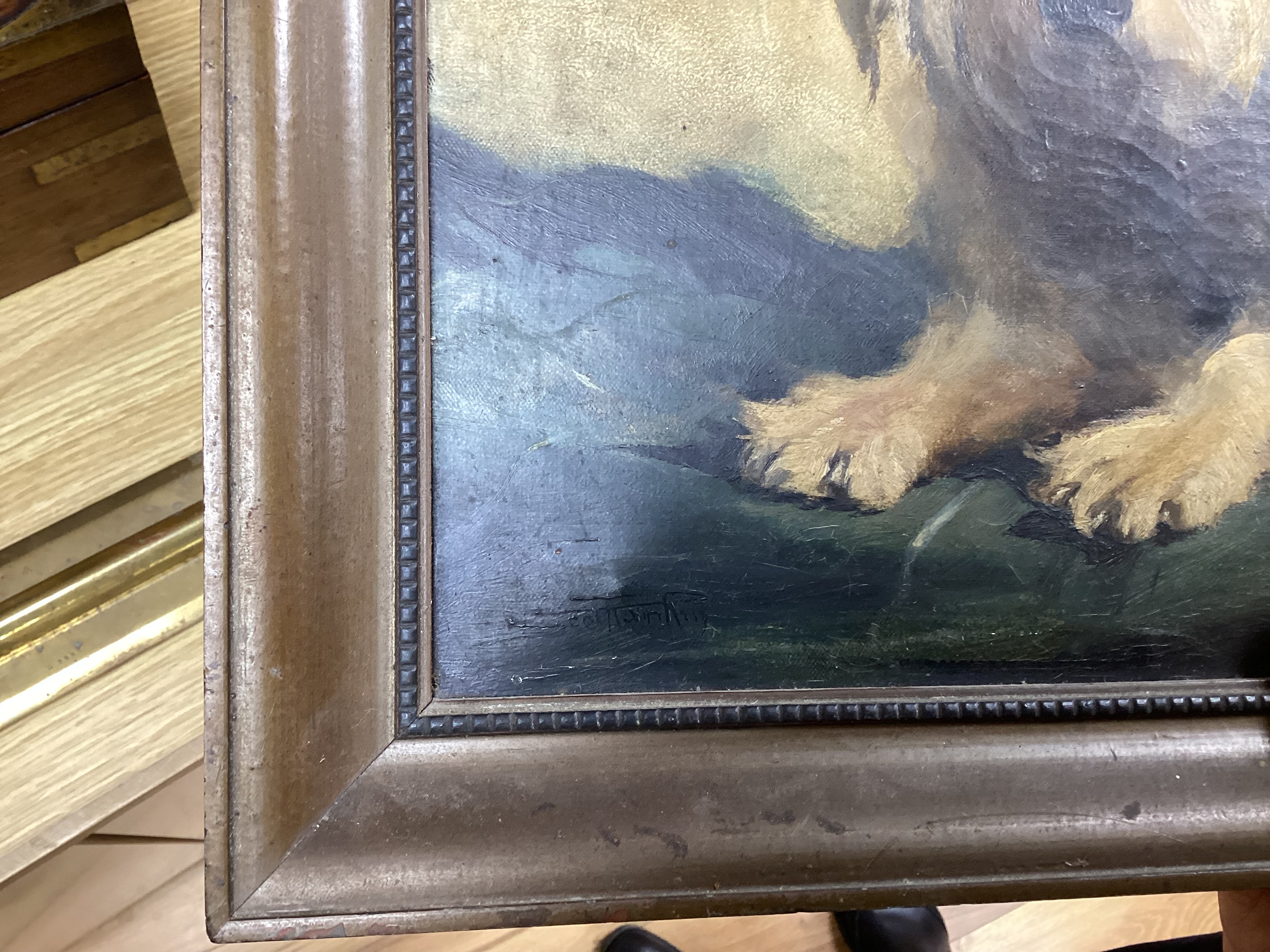 20th century English School, oil on canvas, Study of a Dandy Dinmot, indistinctly signed lower left, A Morelli label verso, 34 x 45cm